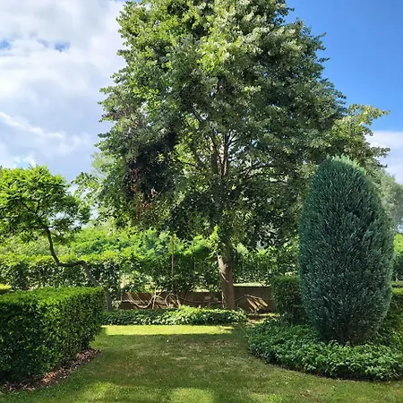 Daire Complex Elit Cacao - For Rent- елит Sunny Beach